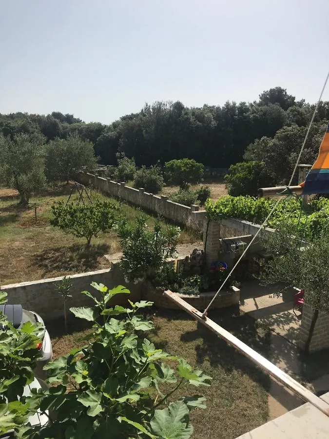 Bava Apartment Ugljan Croatia